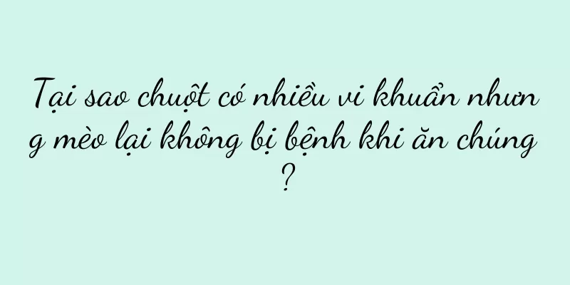 Tại sao chuột có nhiều vi khuẩn nhưng mèo lại không bị bệnh khi ăn chúng?