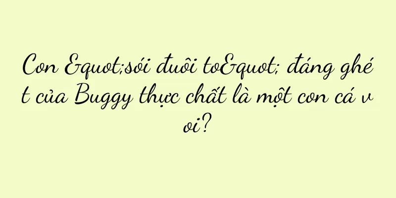 Con "sói đuôi to" đáng ghét của Buggy thực chất là một con cá voi?