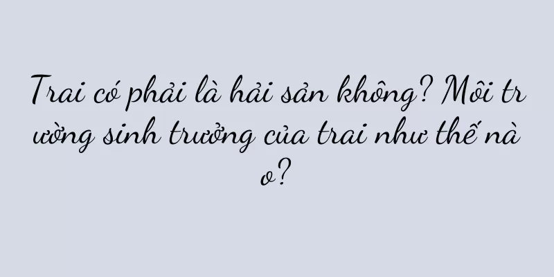 Trai có phải là hải sản không? Môi trường sinh trưởng của trai như thế nào?