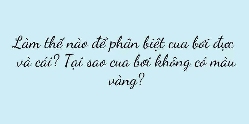 Làm thế nào để phân biệt cua bơi đực và cái? Tại sao cua bơi không có màu vàng?