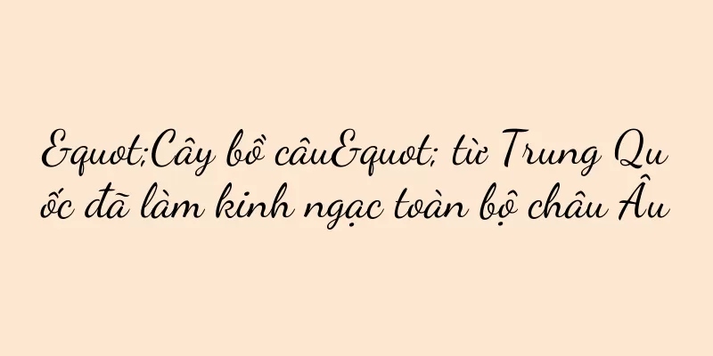 "Cây bồ câu" từ Trung Quốc đã làm kinh ngạc toàn bộ châu Âu
