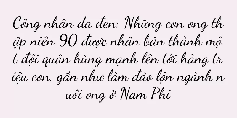 Công nhân da đen: Những con ong thập niên 90 được nhân bản thành một đội quân hùng mạnh lên tới hàng triệu con, gần như làm đảo lộn ngành nuôi ong ở Nam Phi