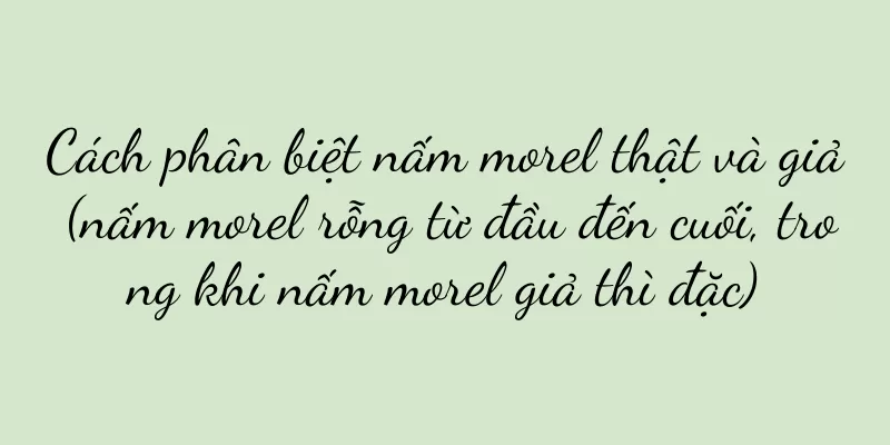 Cách phân biệt nấm morel thật và giả (nấm morel rỗng từ đầu đến cuối, trong khi nấm morel giả thì đặc)
