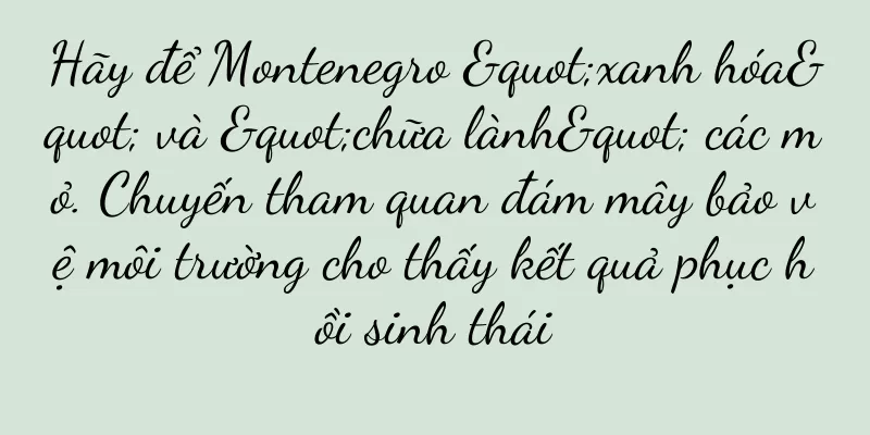 Hãy để Montenegro "xanh hóa" và "chữa lành" các mỏ. Chuyến tham quan đám mây bảo vệ môi trường cho thấy kết quả phục hồi sinh thái