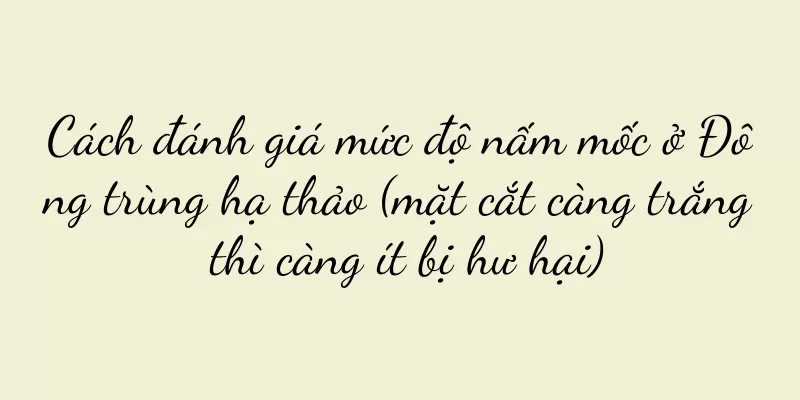 Cách đánh giá mức độ nấm mốc ở Đông trùng hạ thảo (mặt cắt càng trắng thì càng ít bị hư hại)