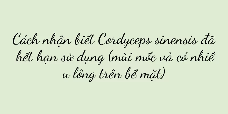 Cách nhận biết Cordyceps sinensis đã hết hạn sử dụng (mùi mốc và có nhiều lông trên bề mặt)