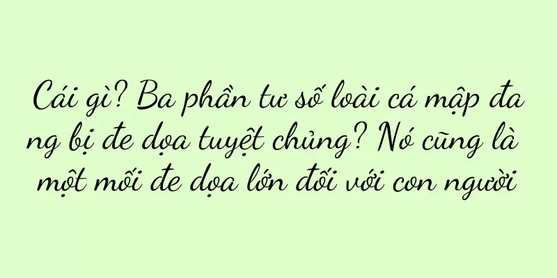Cái gì? Ba phần tư số loài cá mập đang bị đe dọa tuyệt chủng? Nó cũng là một mối đe dọa lớn đối với con người