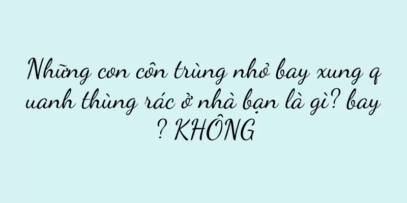 Những con côn trùng nhỏ bay xung quanh thùng rác ở nhà bạn là gì? bay? KHÔNG