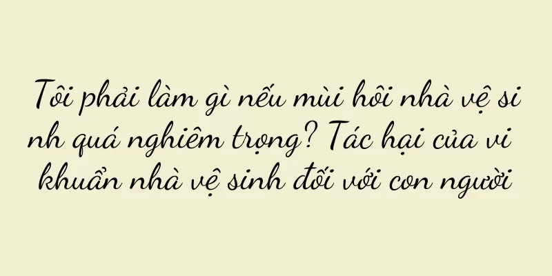 Tôi phải làm gì nếu mùi hôi nhà vệ sinh quá nghiêm trọng? Tác hại của vi khuẩn nhà vệ sinh đối với con người