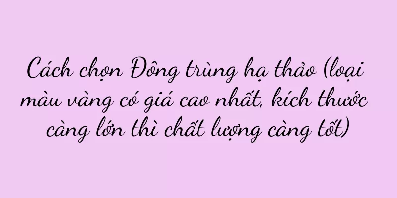 Cách chọn Đông trùng hạ thảo (loại màu vàng có giá cao nhất, kích thước càng lớn thì chất lượng càng tốt)
