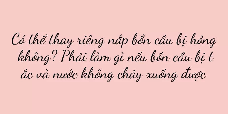 Có thể thay riêng nắp bồn cầu bị hỏng không? Phải làm gì nếu bồn cầu bị tắc và nước không chảy xuống được
