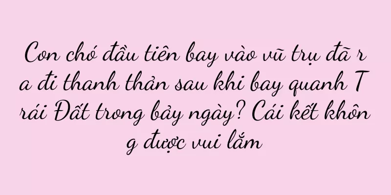 Con chó đầu tiên bay vào vũ trụ đã ra đi thanh thản sau khi bay quanh Trái Đất trong bảy ngày? Cái kết không được vui lắm