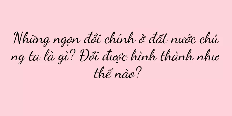 Những ngọn đồi chính ở đất nước chúng ta là gì? Đồi được hình thành như thế nào?