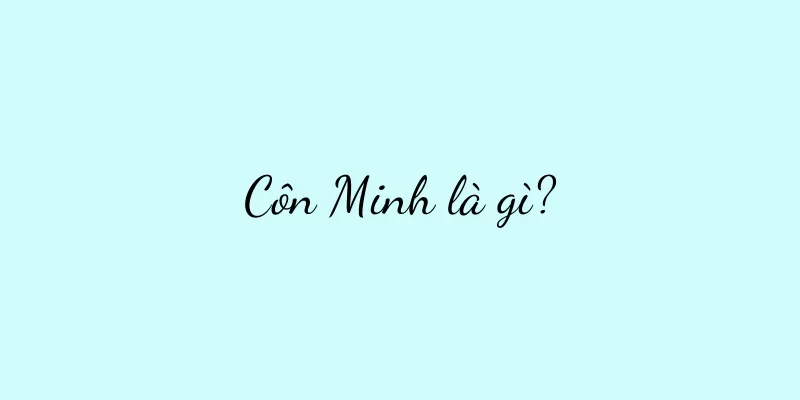 Côn Minh là gì?