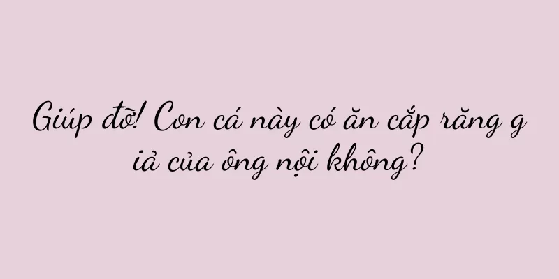 Giúp đỡ! Con cá này có ăn cắp răng giả của ông nội không?