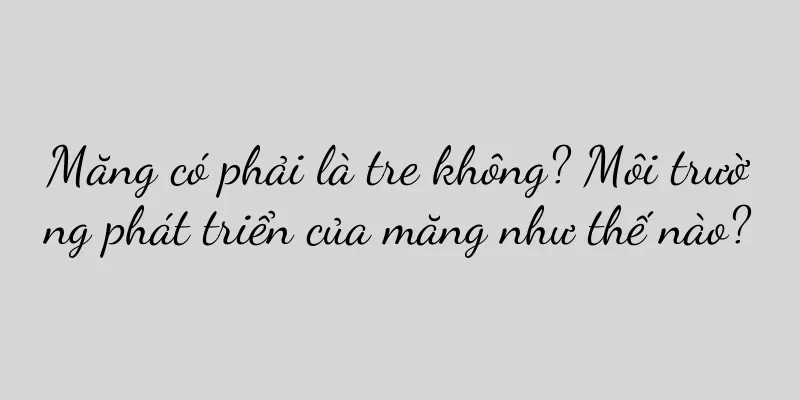 Măng có phải là tre không? Môi trường phát triển của măng như thế nào?