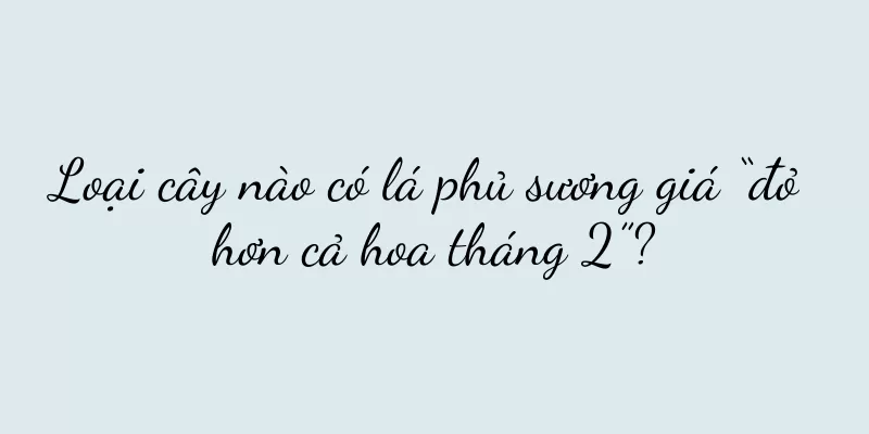 Loại cây nào có lá phủ sương giá “đỏ hơn cả hoa tháng 2”?