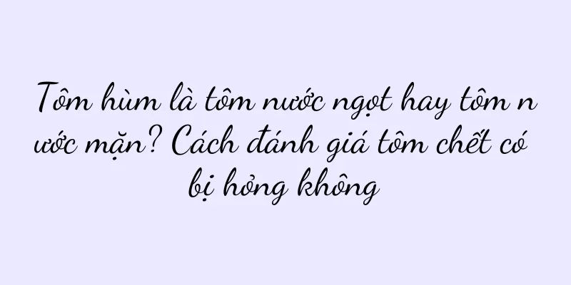 Tôm hùm là tôm nước ngọt hay tôm nước mặn? Cách đánh giá tôm chết có bị hỏng không