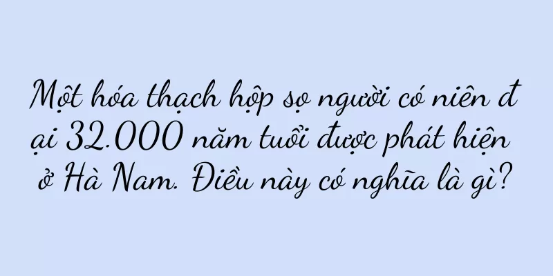 Một hóa thạch hộp sọ người có niên đại 32.000 năm tuổi được phát hiện ở Hà Nam. Điều này có nghĩa là gì?