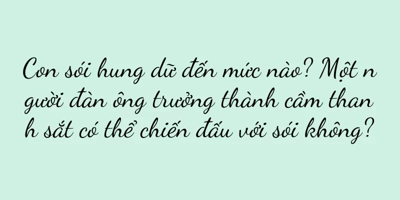 Con sói hung dữ đến mức nào? Một người đàn ông trưởng thành cầm thanh sắt có thể chiến đấu với sói không?