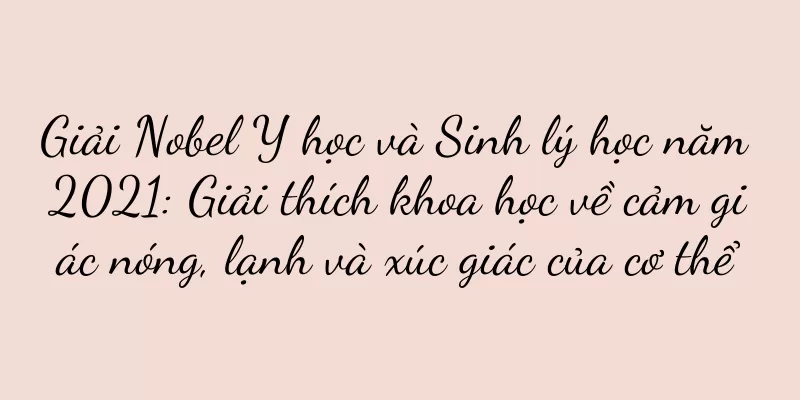 Giải Nobel Y học và Sinh lý học năm 2021: Giải thích khoa học về cảm giác nóng, lạnh và xúc giác của cơ thể