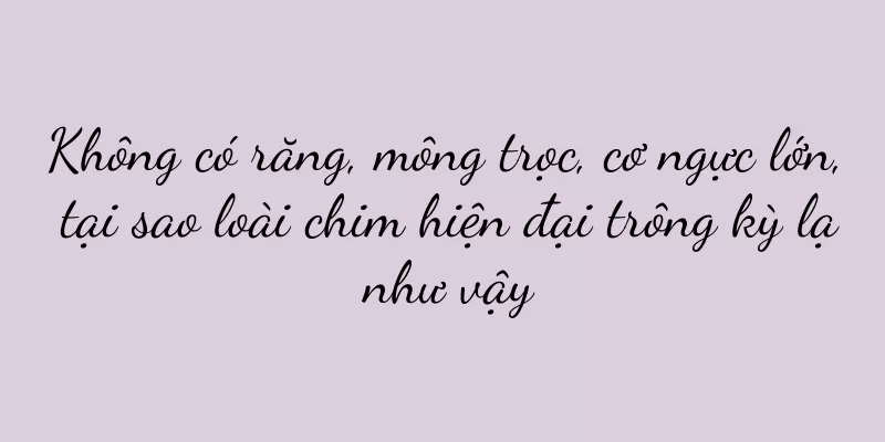 Không có răng, mông trọc, cơ ngực lớn, tại sao loài chim hiện đại trông kỳ lạ như vậy