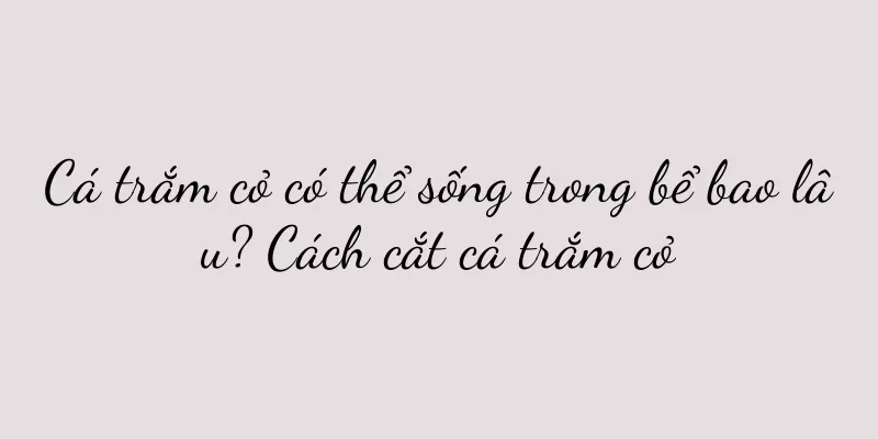 Cá trắm cỏ có thể sống trong bể bao lâu? Cách cắt cá trắm cỏ