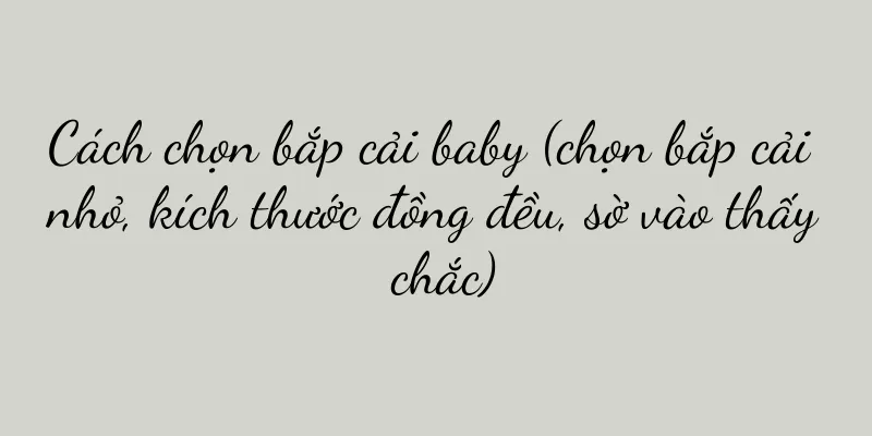 Cách chọn bắp cải baby (chọn bắp cải nhỏ, kích thước đồng đều, sờ vào thấy chắc)