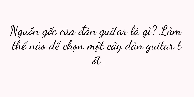 Nguồn gốc của đàn guitar là gì? Làm thế nào để chọn một cây đàn guitar tốt