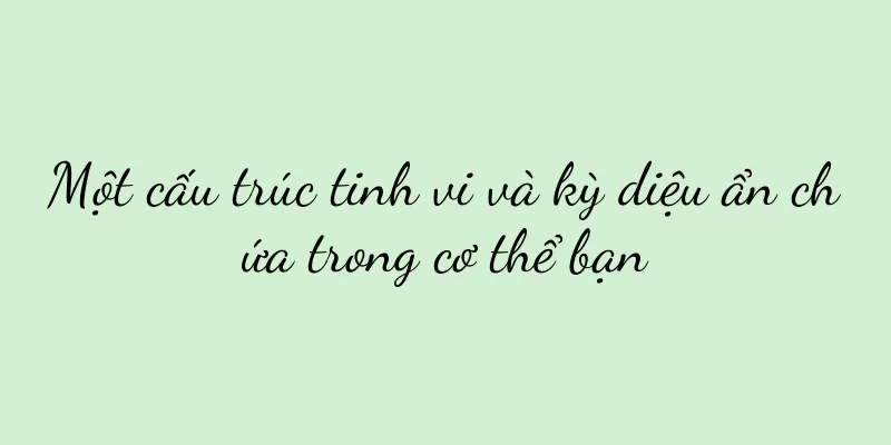 Một cấu trúc tinh vi và kỳ diệu ẩn chứa trong cơ thể bạn
