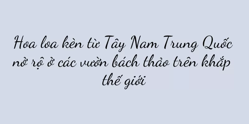 Hoa loa kèn từ Tây Nam Trung Quốc nở rộ ở các vườn bách thảo trên khắp thế giới