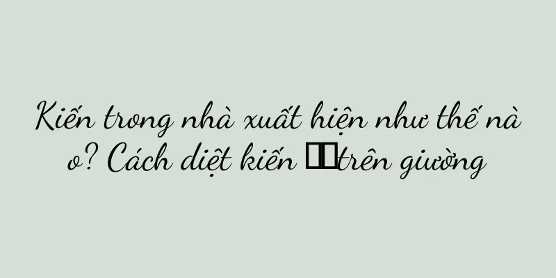 Kiến trong nhà xuất hiện như thế nào? Cách diệt kiến ​​trên giường