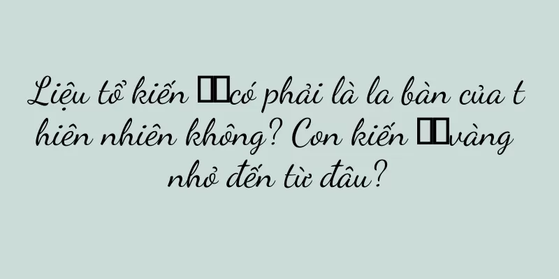 Liệu tổ kiến ​​có phải là la bàn của thiên nhiên không? Con kiến ​​vàng nhỏ đến từ đâu?
