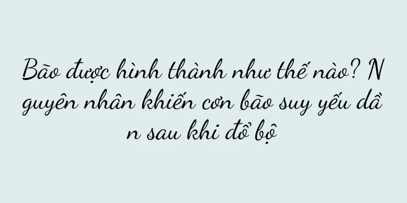 Bão được hình thành như thế nào? Nguyên nhân khiến cơn bão suy yếu dần sau khi đổ bộ