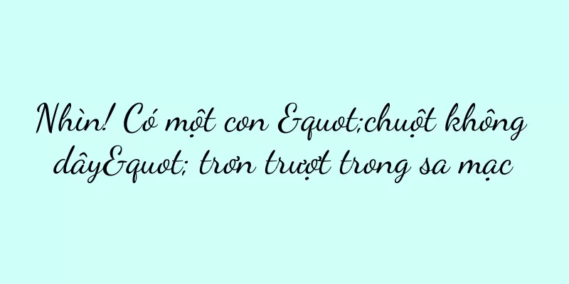 Nhìn! Có một con "chuột không dây" trơn trượt trong sa mạc