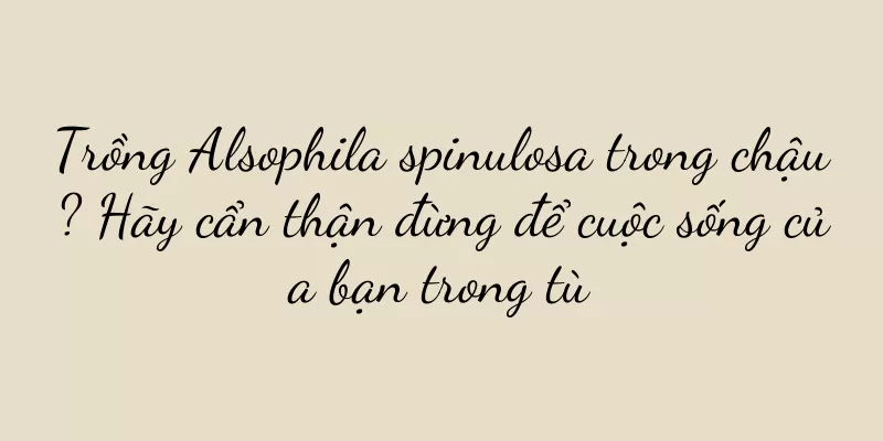 Trồng Alsophila spinulosa trong chậu? Hãy cẩn thận đừng để cuộc sống của bạn trong tù
