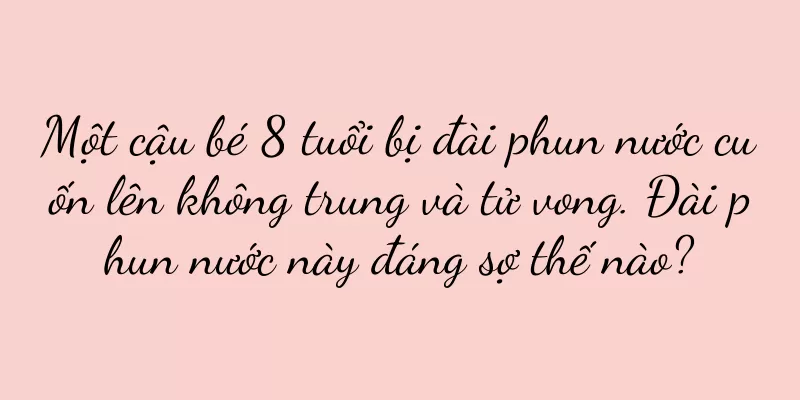 Một cậu bé 8 tuổi bị đài phun nước cuốn lên không trung và tử vong. Đài phun nước này đáng sợ thế nào?