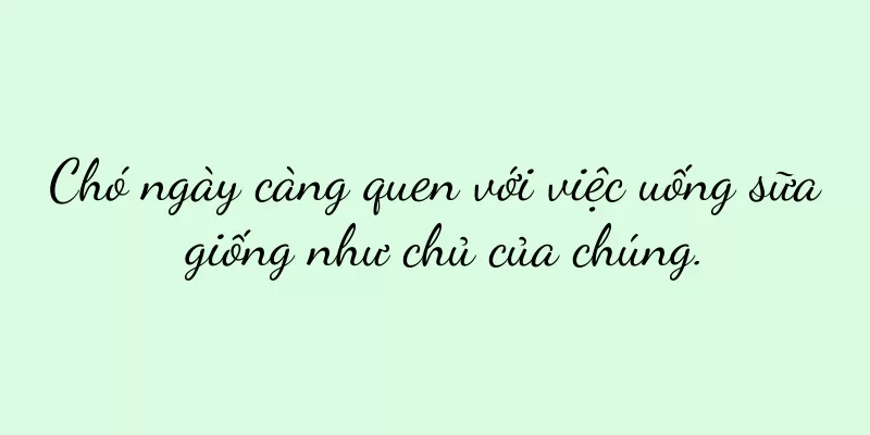 Chó ngày càng quen với việc uống sữa giống như chủ của chúng.
