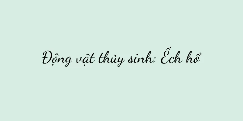 Động vật thủy sinh: Ếch hổ