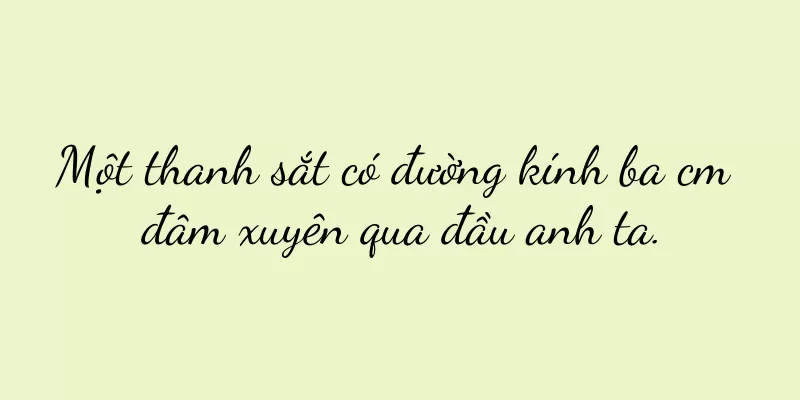 Một thanh sắt có đường kính ba cm đâm xuyên qua đầu anh ta.