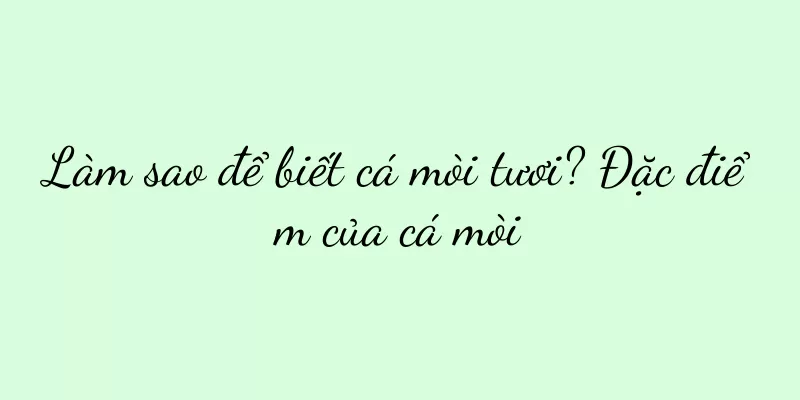 Làm sao để biết cá mòi tươi? Đặc điểm của cá mòi
