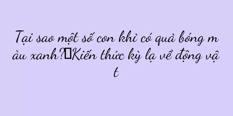 Tại sao một số con khỉ có quả bóng màu xanh?丨Kiến thức kỳ lạ về động vật
