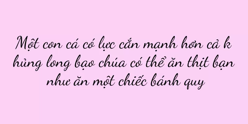 Một con cá có lực cắn mạnh hơn cả khủng long bạo chúa có thể ăn thịt bạn như ăn một chiếc bánh quy