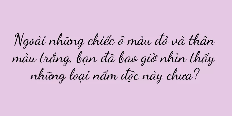 Ngoài những chiếc ô màu đỏ và thân màu trắng, bạn đã bao giờ nhìn thấy những loại nấm độc này chưa?