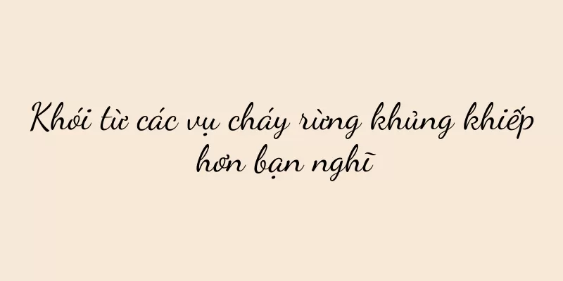 Khói từ các vụ cháy rừng khủng khiếp hơn bạn nghĩ