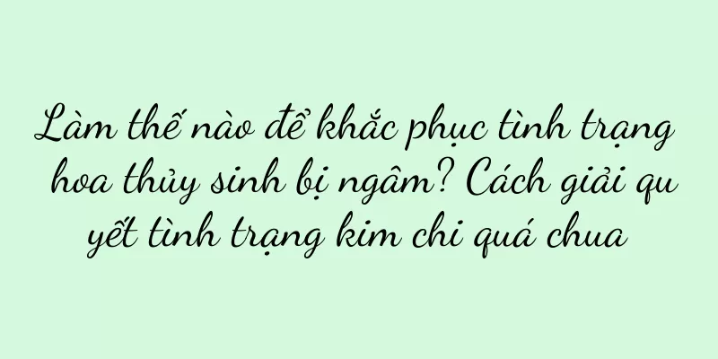 Làm thế nào để khắc phục tình trạng hoa thủy sinh bị ngâm? Cách giải quyết tình trạng kim chi quá chua