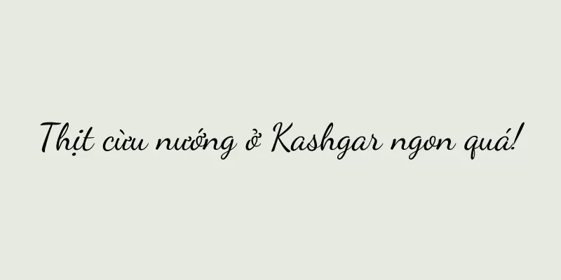 Thịt cừu nướng ở Kashgar ngon quá!