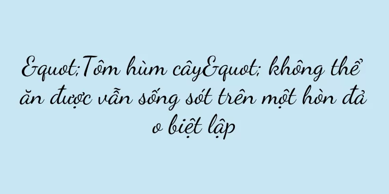 "Tôm hùm cây" không thể ăn được vẫn sống sót trên một hòn đảo biệt lập
