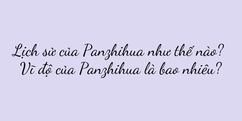 Lịch sử của Panzhihua như thế nào? Vĩ độ của Panzhihua là bao nhiêu?