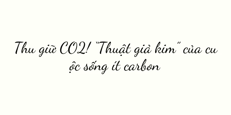 Thu giữ CO2! “Thuật giả kim” của cuộc sống ít carbon